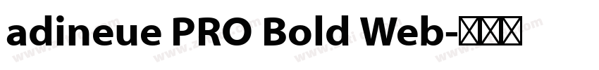 adineue PRO Bold Web字体转换